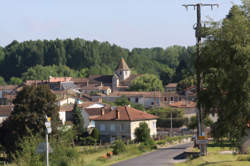 photo Lizant