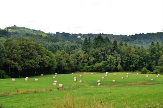Paysage des monts d'Ambazac - Bonnac-la-Côte (87270) - Haute-Vienne