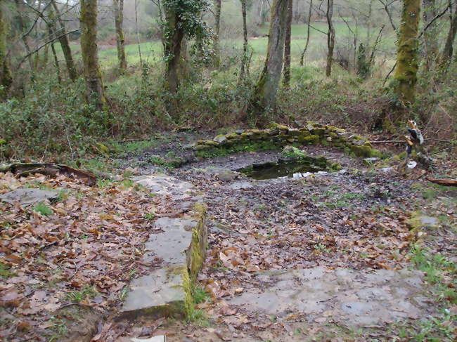 Bonne fontaine de La Mazaurie - Cussac (87150) - Haute-Vienne