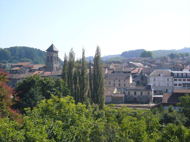 Vue d'une partie de la ville - Eymoutiers (87120) - Haute-Vienne