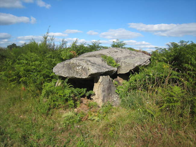 Le dolmen de Verneuil-sur-Vienne - Verneuil-sur-Vienne (87430) - Haute-Vienne