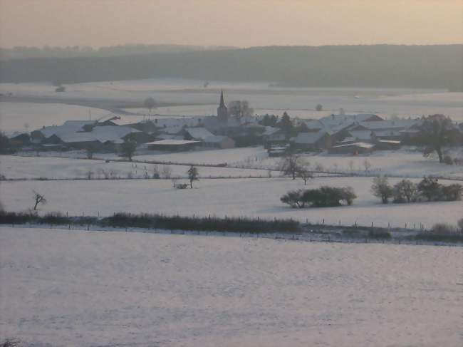 Vue générale en hiver - Aulnois (88300) - Vosges