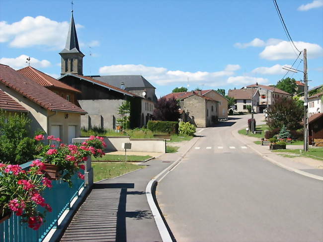 La rue principale - Badménil-aux-Bois (88330) - Vosges