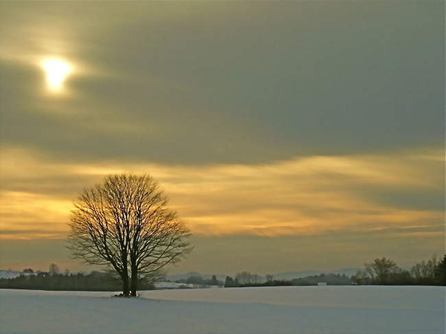 Paysage en hiver - Ban-de-Sapt (88210) - Vosges