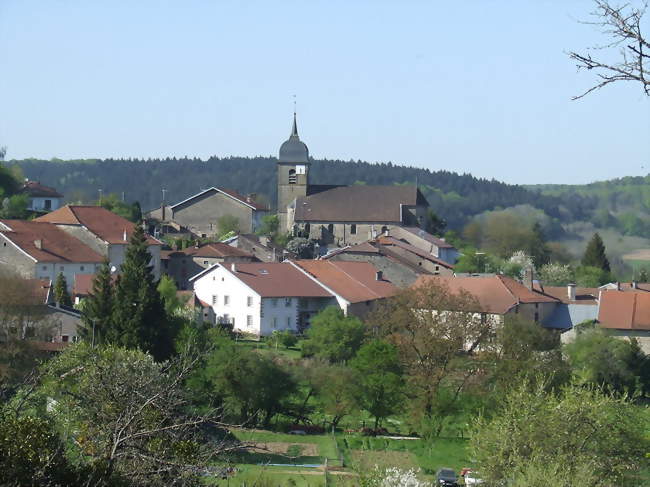 Vue d'ensemble de Bleurville - Bleurville (88410) - Vosges