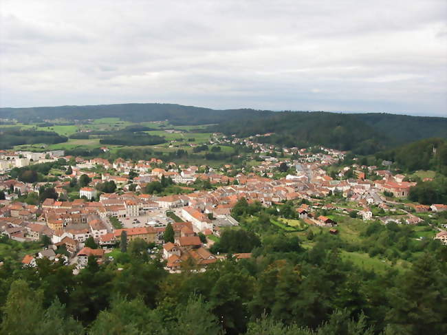 La ville vue depuis la tour de l'Avison - Bruyères (88600) - Vosges