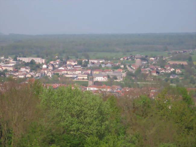 Panorama depuis le lieu-dit du Haut-du-Mont - Charmes (88130) - Vosges
