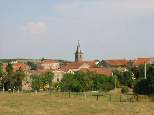 Vue générale - Dombrot-le-Sec (88140) - Vosges