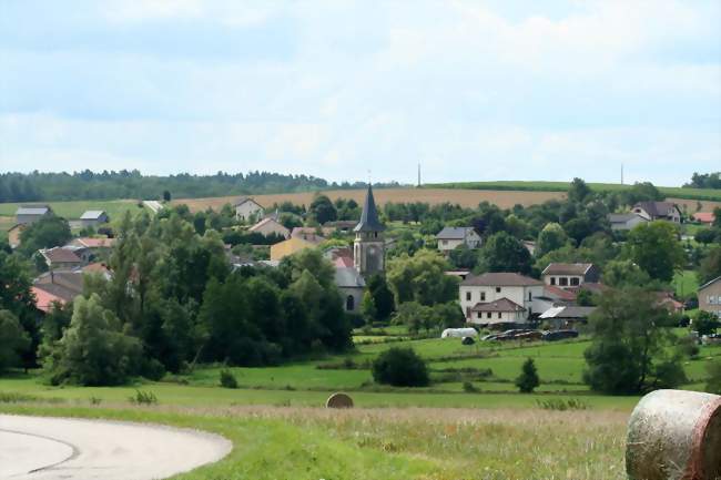 Vue d'ensemble - Doncières (88700) - Vosges