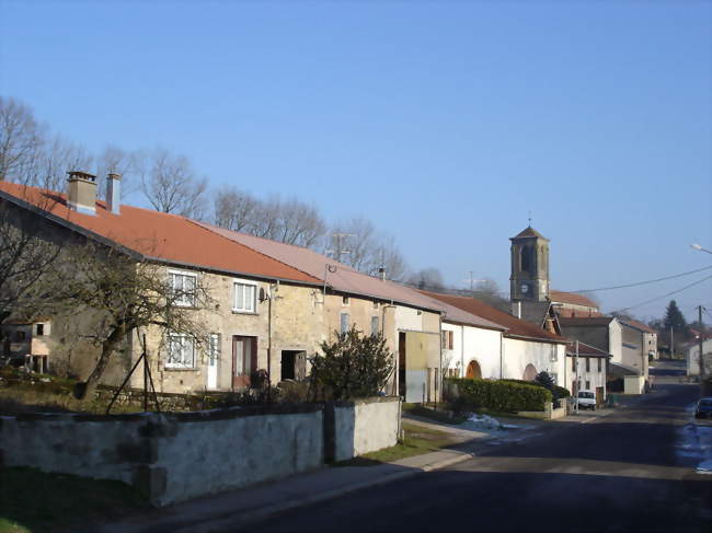 Vue générale - Frain (88320) - Vosges