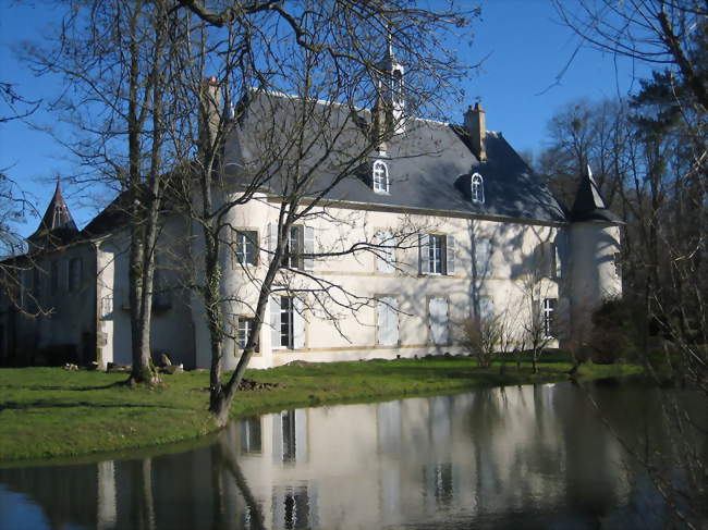 Château de Girecourt-sur-Durbion - Girecourt-sur-Durbion (88600) - Vosges