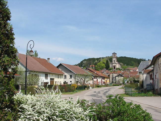 Vue générale - Lusse (88490) - Vosges