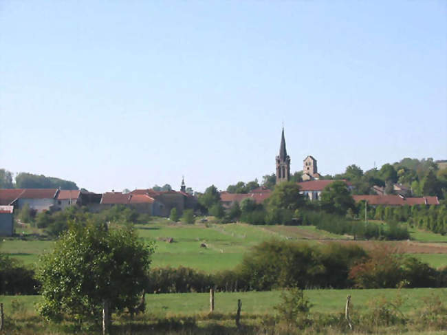 Vue générale - Médonville (88140) - Vosges