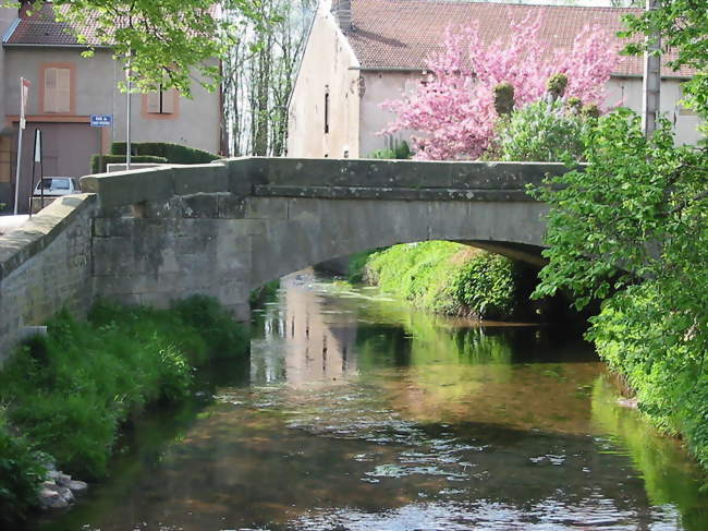 Pont sur la Belvitte à Ménil - Ménil-sur-Belvitte (88700) - Vosges