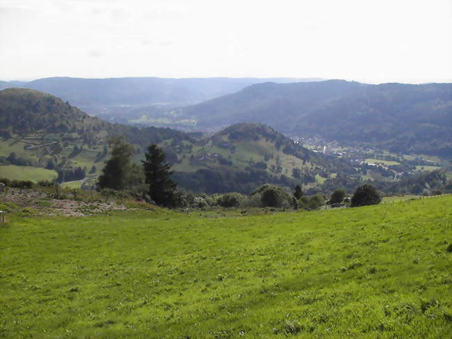 Le Ménil vu de la Tête des Champs - Le Ménil (88160) - Vosges