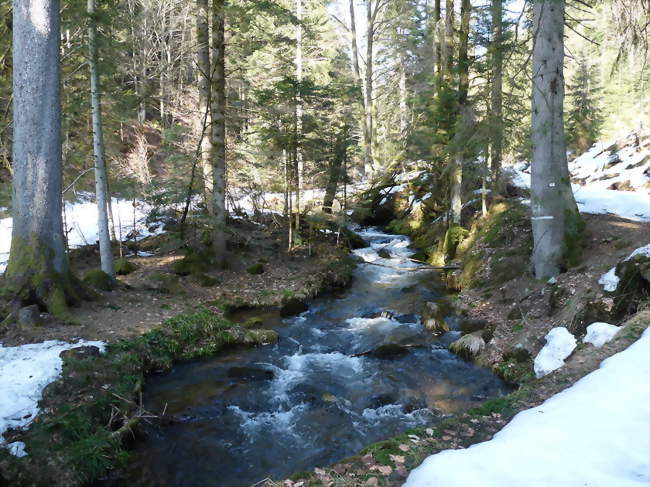 Le Rabodeau entre le col de Prayé et Moussey - Moussey (88210) - Vosges