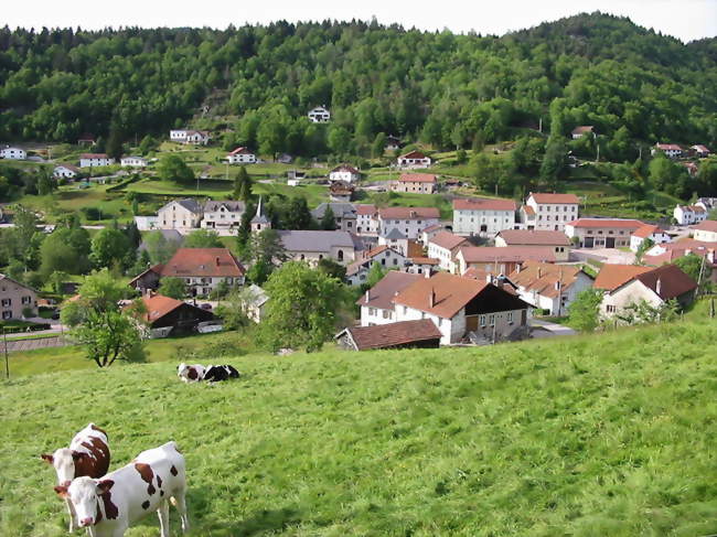 Fin d'après-midi en juin - Rochesson (88120) - Vosges