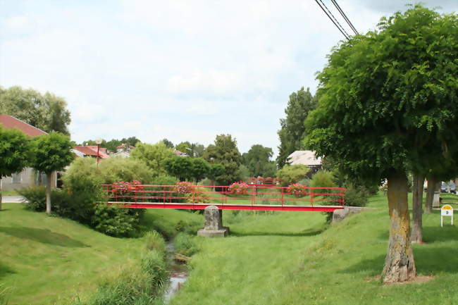 Le ruisseau de la Nauve - Saint-Maurice-sur-Mortagne (88700) - Vosges