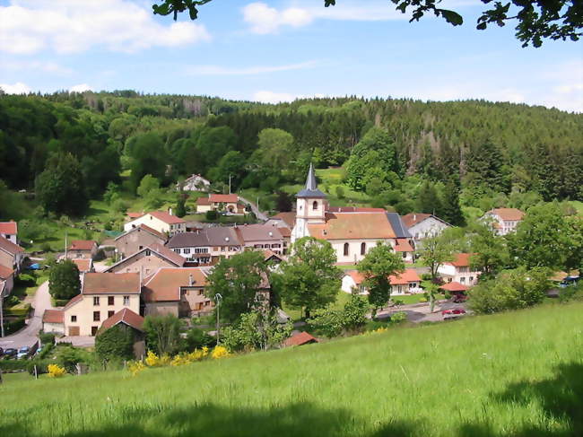 Le Centre, vu des pentes de La Goutte - Saint-Stail (88210) - Vosges