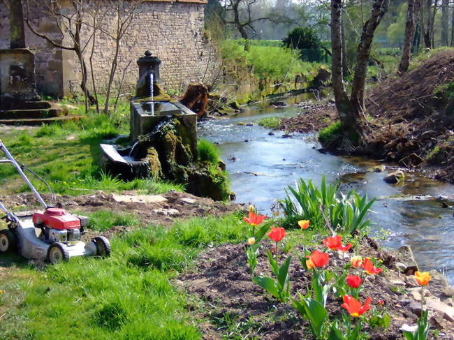 Fontaine au bord de la Sâle - Tignécourt (88320) - Vosges