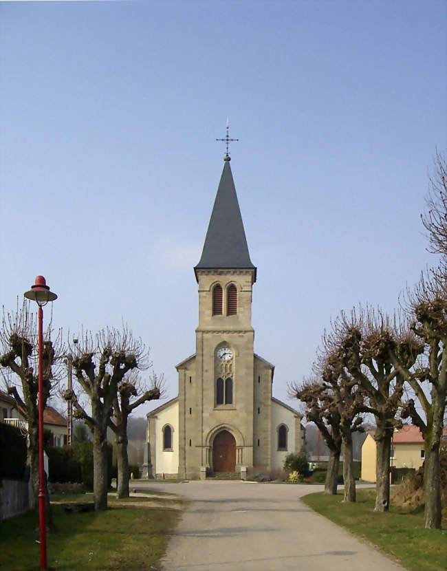 L'église Saint-Brice - Valleroy-aux-Saules (88270) - Vosges