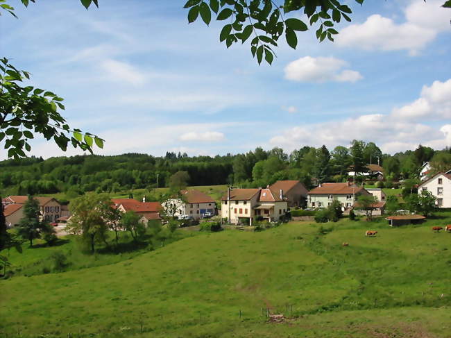 Le Vermont à flanc de coteau - Le Vermont (88210) - Vosges