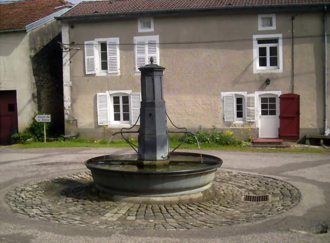 Fontaine - Vioménil (88260) - Vosges