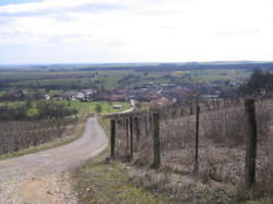 photo La Neuveville-sous-Montfort