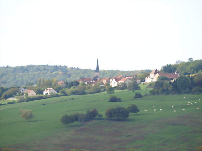 Vue générale depuis le VI 50 entre Étaule & le hameau de Wassy - Annay-la-Côte (89200) - Yonne