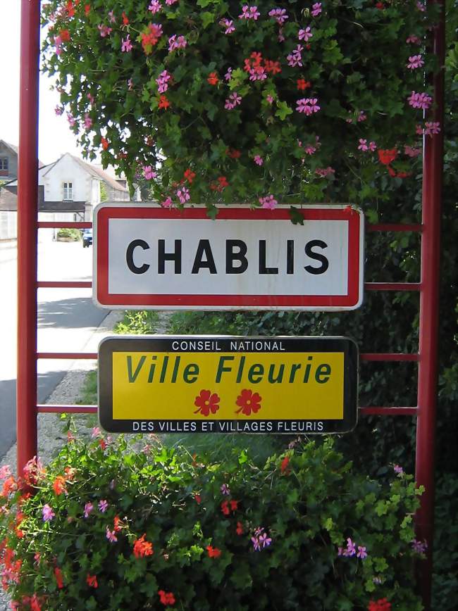 Balade commentée dans le vignoble de Chablis