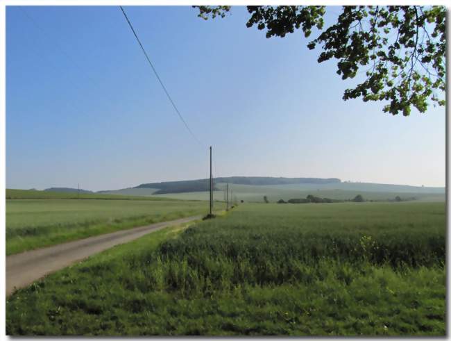 La chapelle-sur-Oreuse - Crédits: Norberto Vieira da Cruz/Panoramio/CC by SA