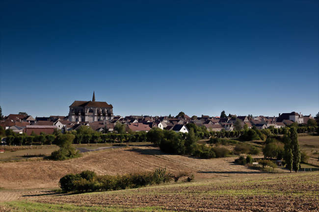 Coulanges-la-Vineuse - Coulanges-la-Vineuse (89580) - Yonne
