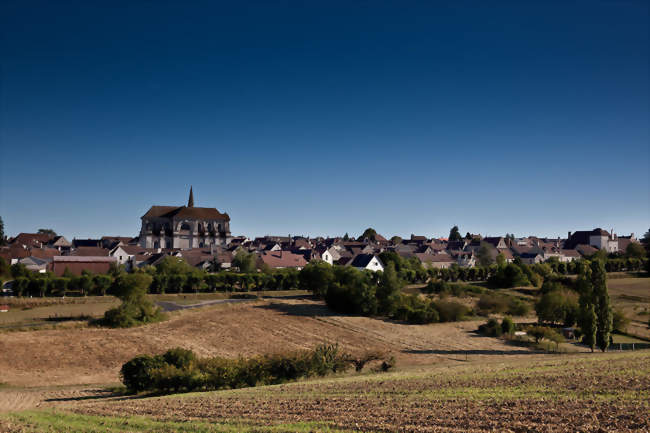 Marche gourmande du vignoble Coulangeois