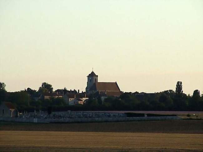 Aide ménager / ménagère à domicile