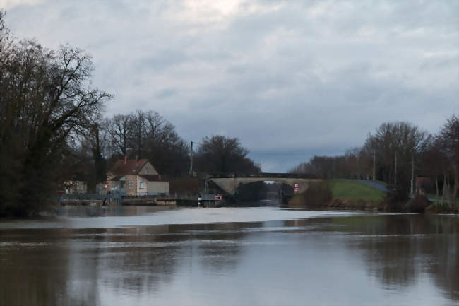 Bief de l'Yonne - Gurgy (89250) - Yonne