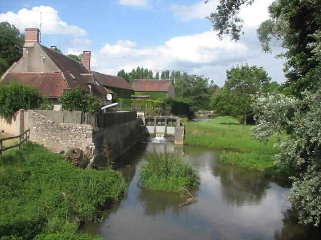 Saint-Privé - Saint-Privé (89220) - Yonne