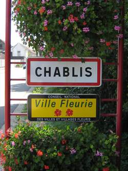 photo Soirée Cocktails à la Cité à Chablis !