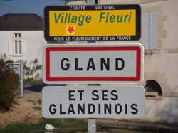 photo Gland