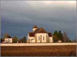 Ouvrier agricole polyvalent / Ouvrière agricole polyvalente