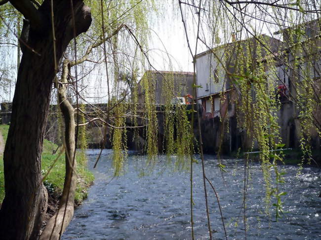 Le Touyre traversant le village - Léran (09600) - Ariège