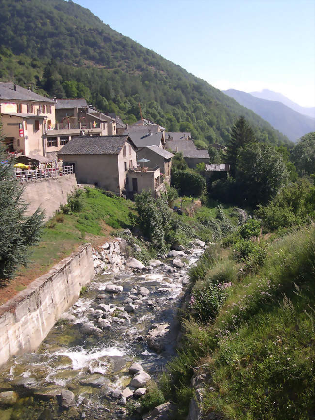 La Bruyante à Mijanès - Mijanès (09460) - Ariège