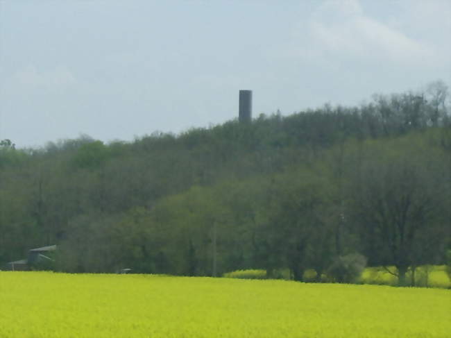 Les environs de Montaut, depuis l'A66 - Montaut (09700) - Ariège