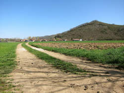 photo Cazavet