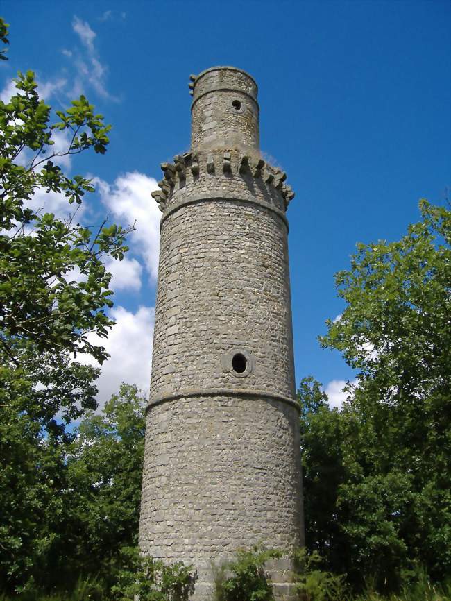 La tour de Pocancy - Janville-sur-Juine (91510) - Essonne