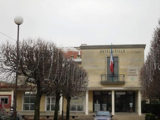 Agent déclarant / Agente déclarante en douane