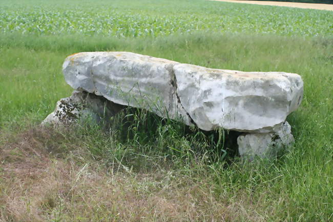 Le dolmen le Grès de Linas - Congerville-Thionville (91740) - Essonne