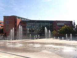 photo Chef / Cheffe de projet (Project Management Officer)