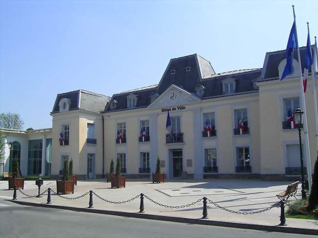 Directeur / Directrice d'accueil collectif de mineurs (ACM)