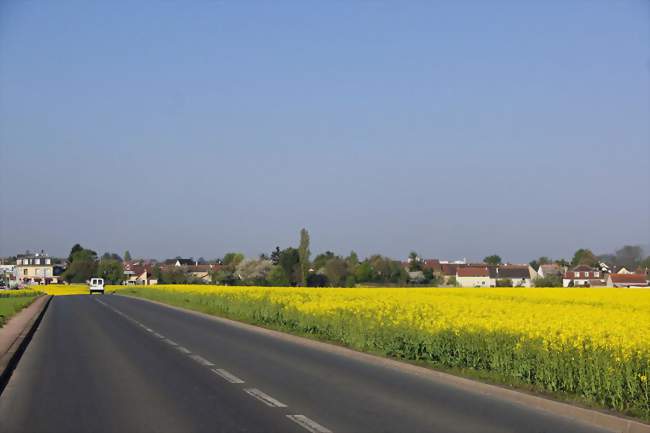 Noiseau vu depuis la route de La Queue-en-Brie - Noiseau (94880) - Val-de-Marne