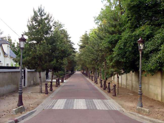 Avenue des Sapins - Beauchamp (95250) - Val-d'Oise